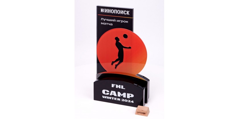 Специальная серия наград для турнира Кинопоиск FNL CAMP